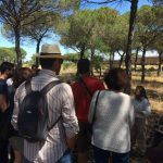 guided visit to donana national park day trip from seville