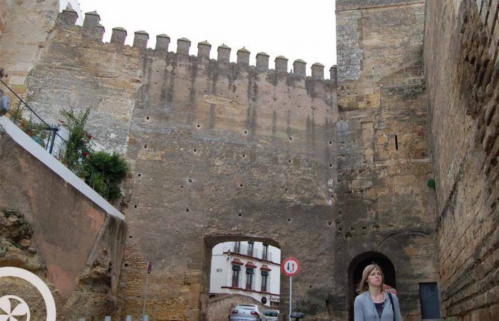 carmona seville historical centre visit carmona guided tour from seville