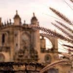 jerez seville to cadiz day trip
