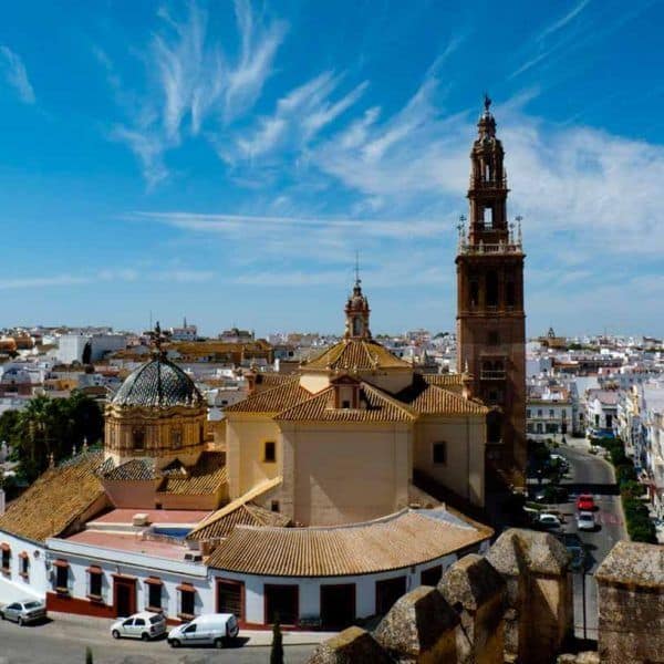 visit carmona guided tour from seville