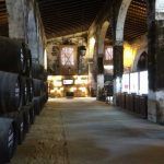 wine cellar seville to cadiz day trip