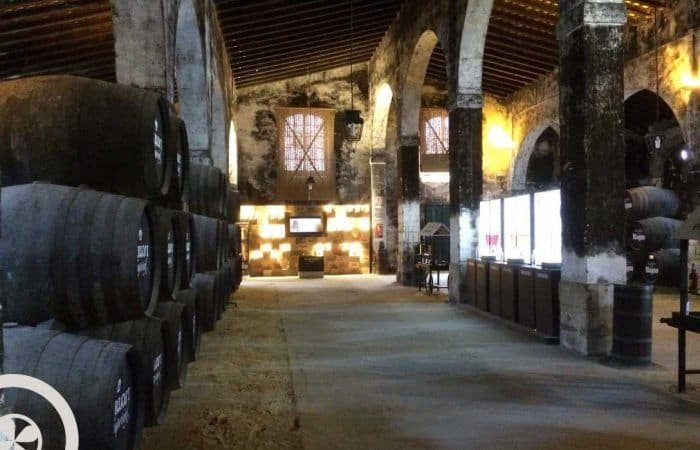 wine cellar seville to cadiz day trip