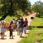 paseo en aracena excursión a aracena desde sevilla