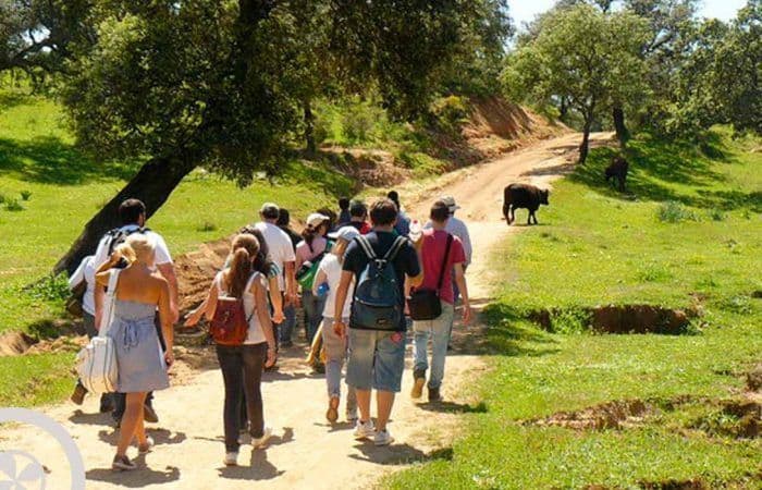 paseo en aracena excursión a aracena desde sevilla