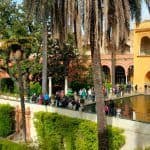 real alcázar de sevilla visita guiada catedral de sevilla