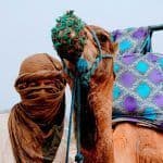 camello excursion a tanger desde sevilla 2 dias
