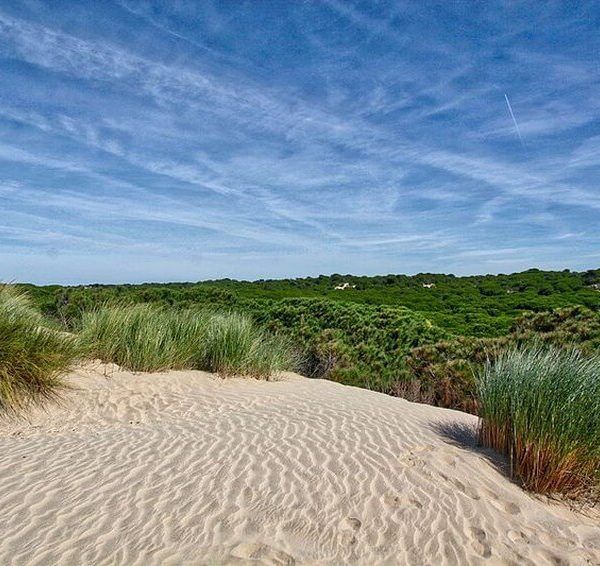 dunas moviles excursion a doñana desde sevilla 2 dias