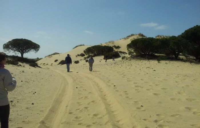dunes seville to donana national park 2 days trip